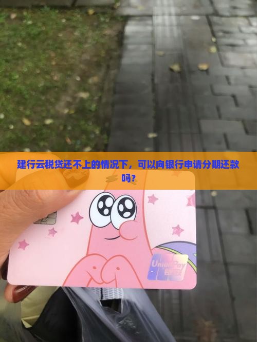 建行云税贷还不上可以分期吗