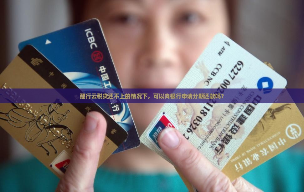 建行云税贷还不上可以分期吗