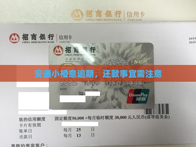 利安通小橙意逾期一上午有事吗