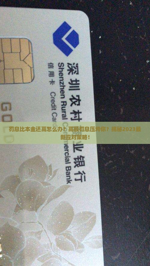 罚息比本金还高怎么办