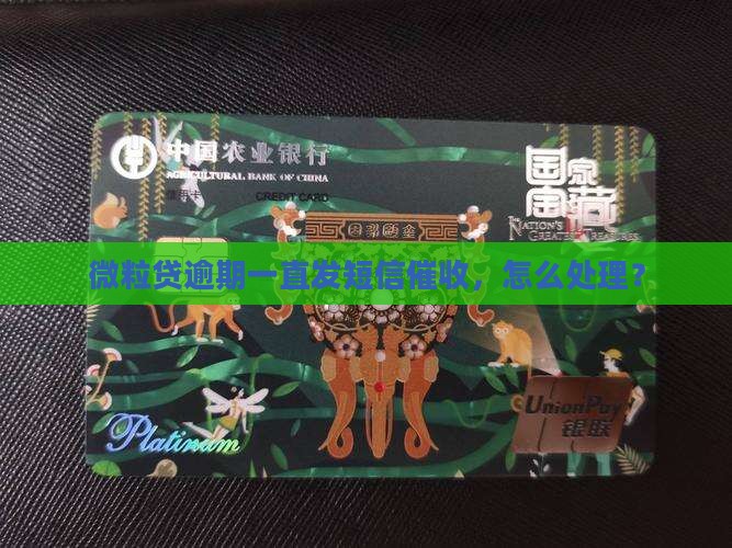 微粒贷逾期一直发短信怎么办