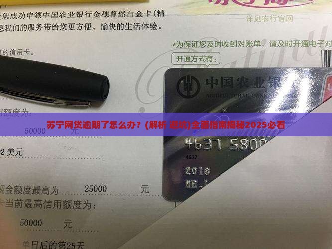 苏宁网贷逾期了如何处理