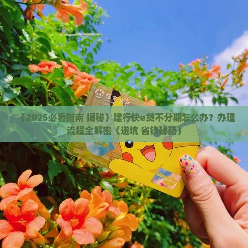 建行快e贷还不分期怎么办办理流程是什么