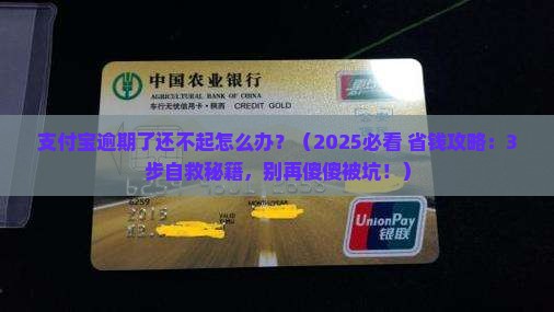 支付宝逾期了还不起怎么办