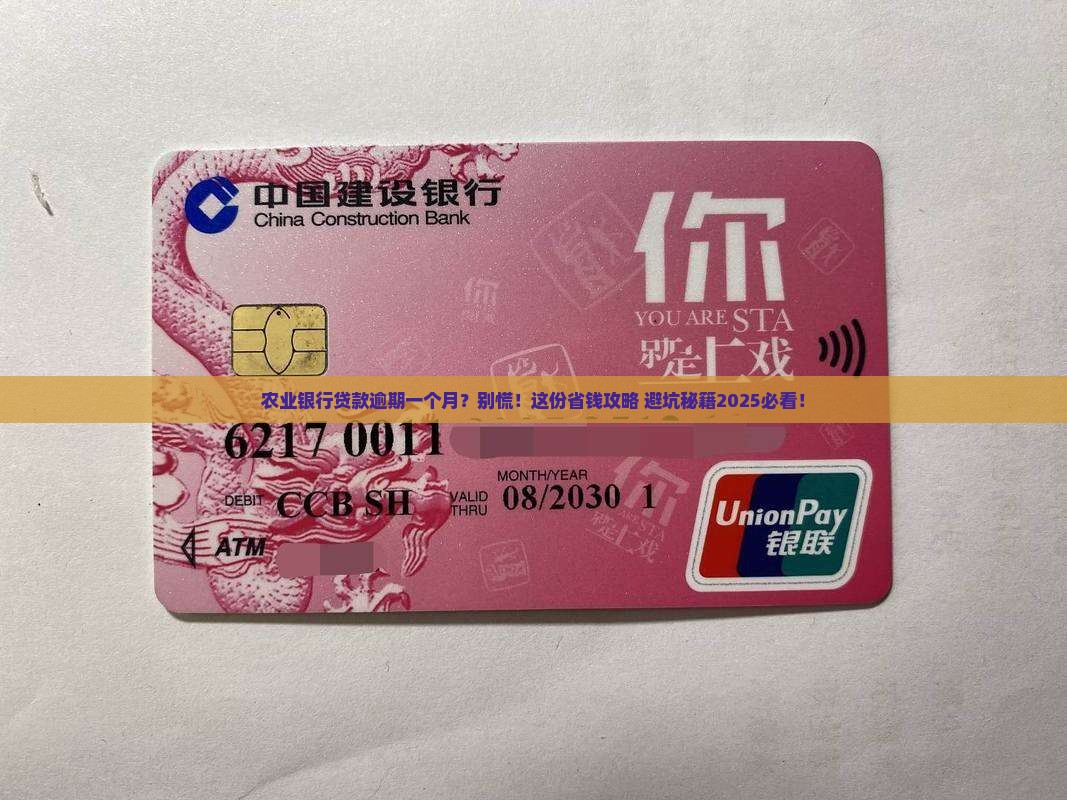 农业银行贷款逾期一个月