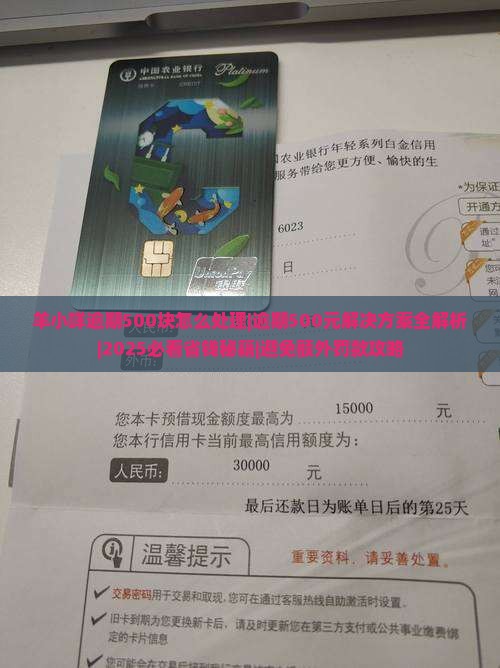 羊小咩逾期500块怎么处理