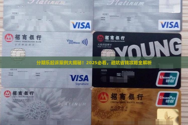 分期乐起诉案例有哪些