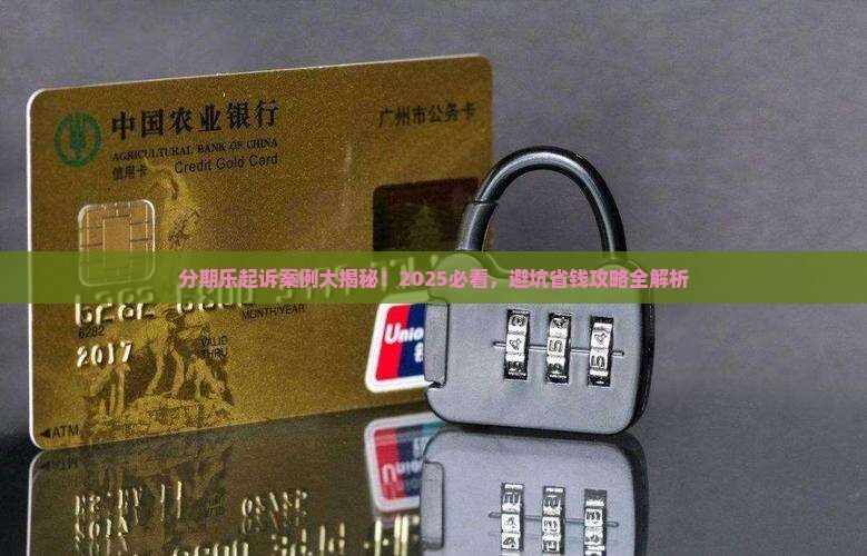 分期乐起诉案例有哪些