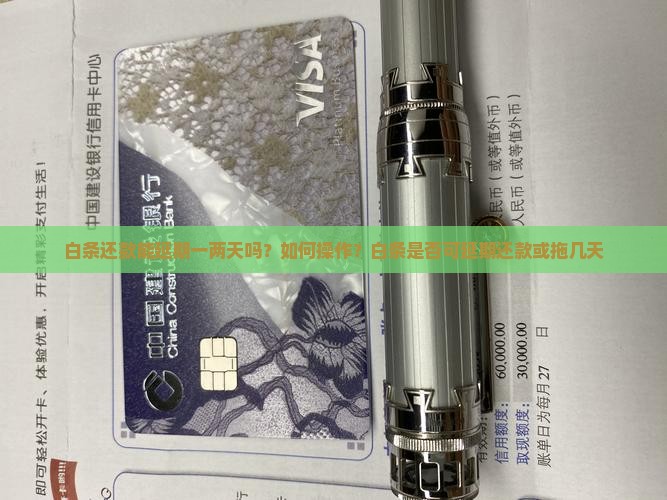 白条还款能延期一两天吗