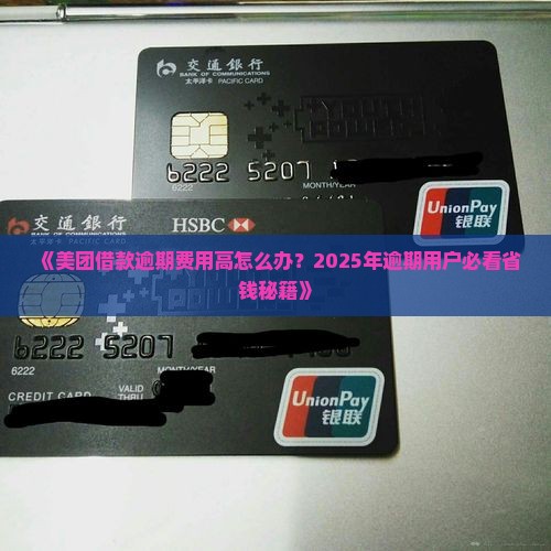 美团借款逾期费用解决方案