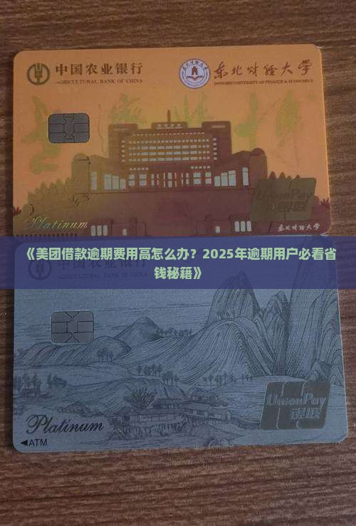 美团借款逾期费用解决方案