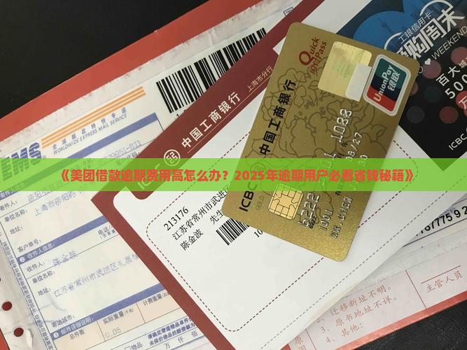 美团借款逾期费用解决方案