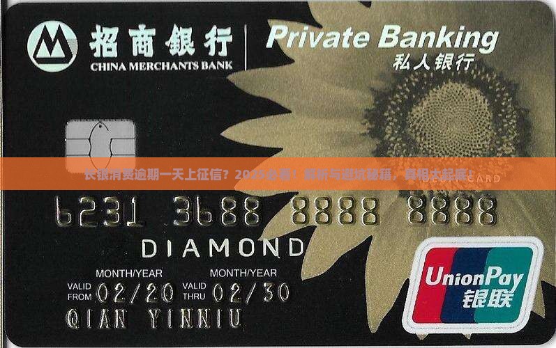 长银消费逾期一天上征信不应该回答