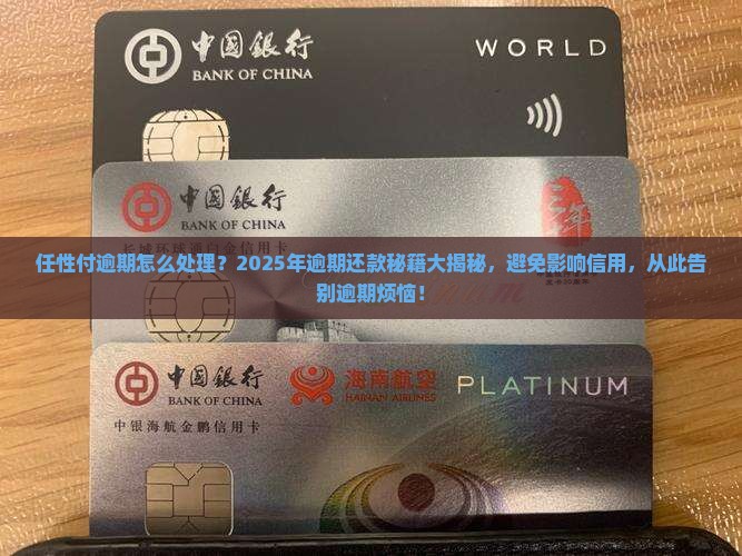 任性付逾期怎么处理才不会影响信用 任性付逾期怎么处理才不会影响信用