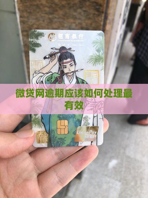 微贷网逾期应该如何处理