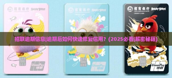 招联逾期信息