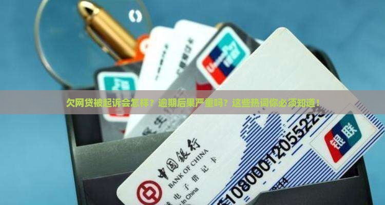 欠网贷被起诉会怎样