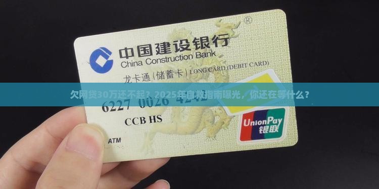 欠网贷30万还不起怎么办