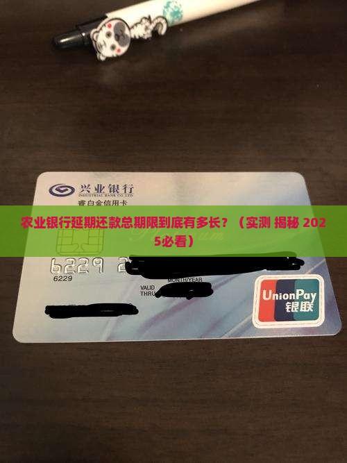 农业银行延期还款总期限是多少