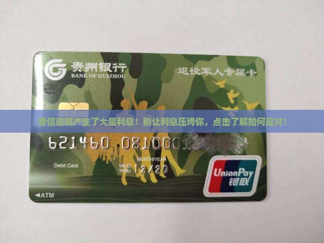 普信逾期产生了大量利息