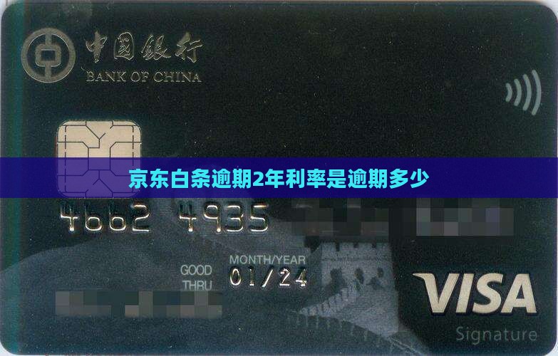 京东白条逾期2年利率是多少