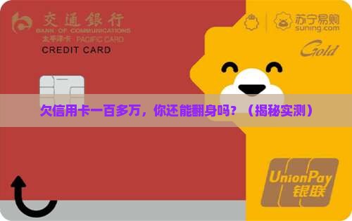 个人欠信用卡一百多万