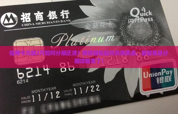 信用卡欠款2万如何分期还清