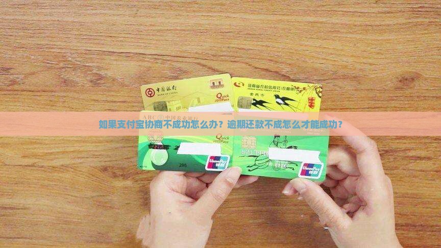 如果支付宝协商不成功该怎么办