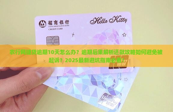 农行网捷贷逾期10天该怎么办