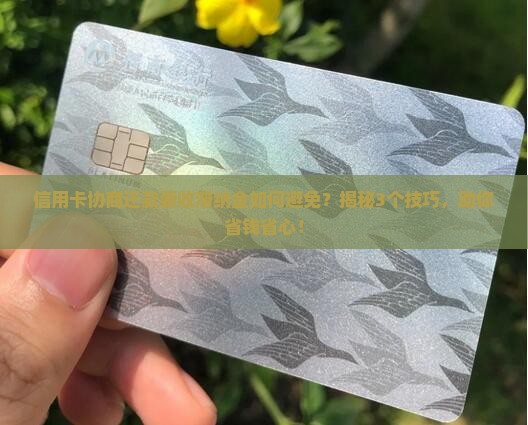 信用卡协商还款要收滞纳金如何避免