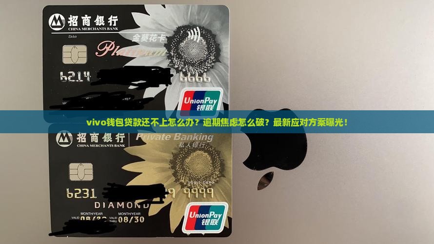 vivo钱包贷款还不上怎么办处理方式