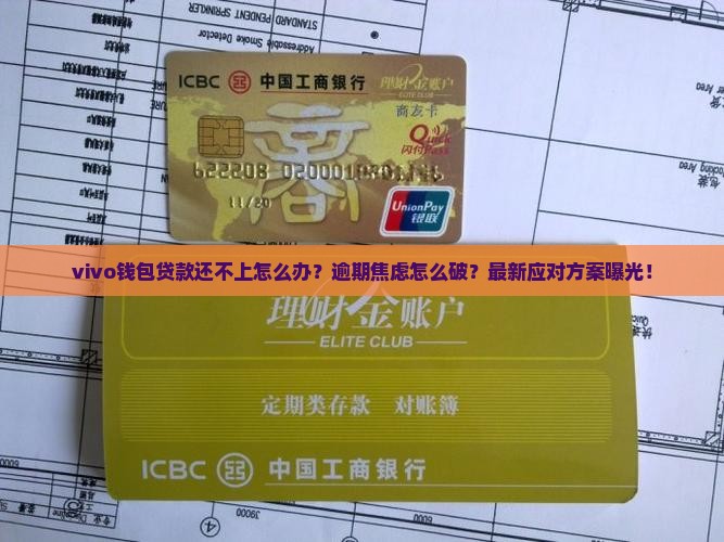 vivo钱包贷款还不上怎么办处理方式