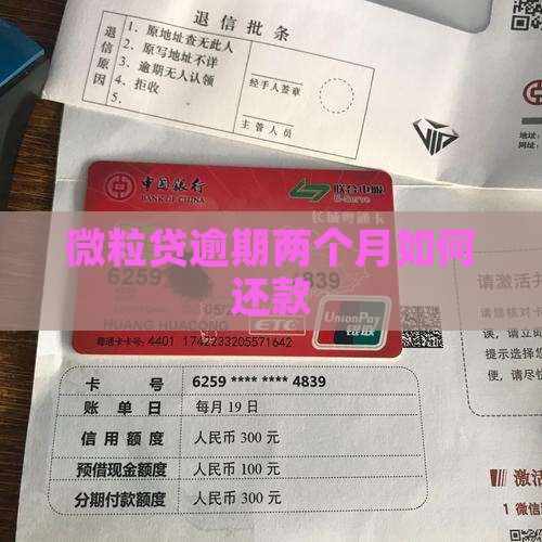 微粒贷逾期两个月如何还款