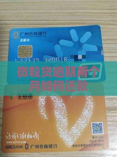 微粒贷逾期两个月如何还款