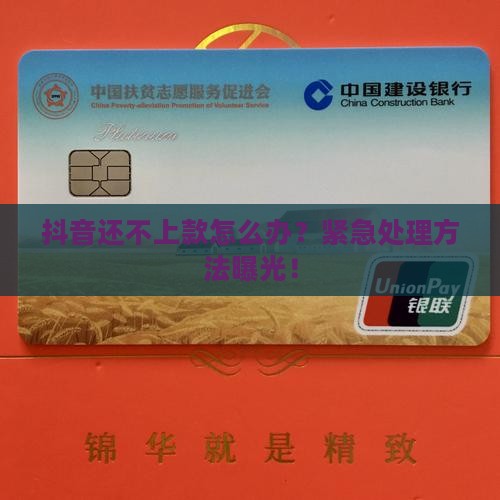 抖音还不上款怎么办