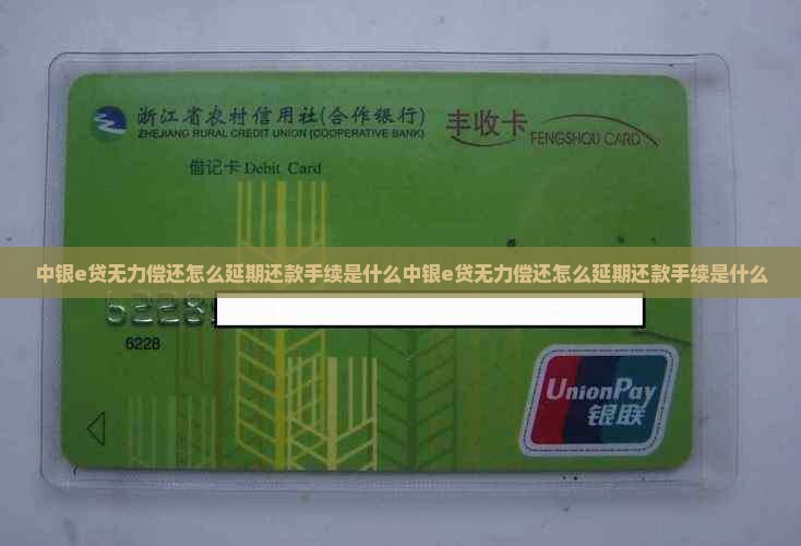 中银e贷无力偿还怎么延期还款手续是什么