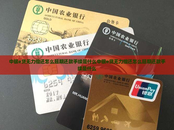 中银e贷无力偿还怎么延期还款手续是什么