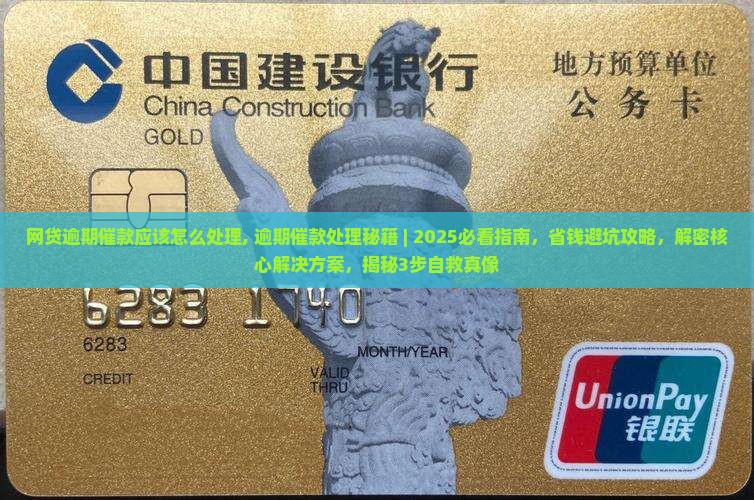 网贷逾期催款应该怎么处理