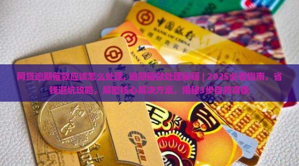 网贷逾期催款应该怎么处理