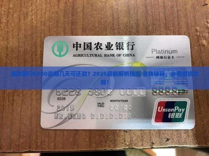 浦发银行5000逾期几天可以还款