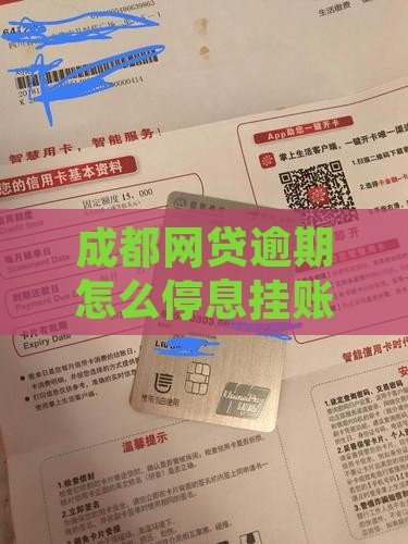 成都网贷延期还款停息挂账该如何处理