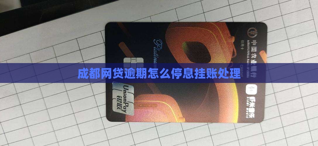 成都网贷延期还款停息挂账该如何处理