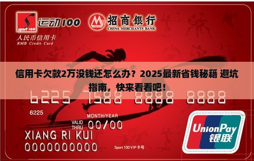 信用卡欠款2万没钱还怎么办