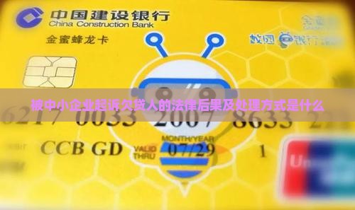 被中小企业起诉欠贷人的法律后果及处理方式