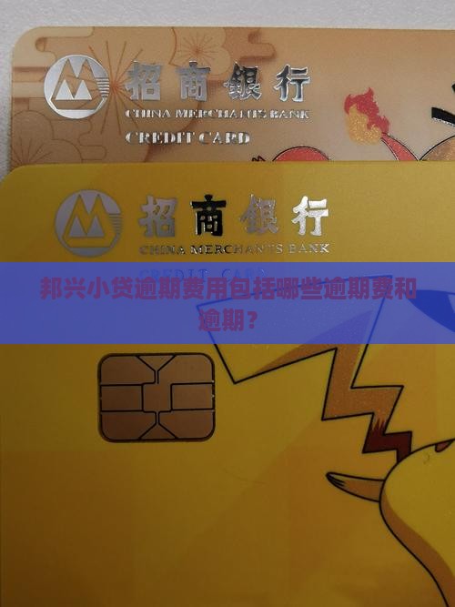 邦兴小贷逾期费用包括哪些