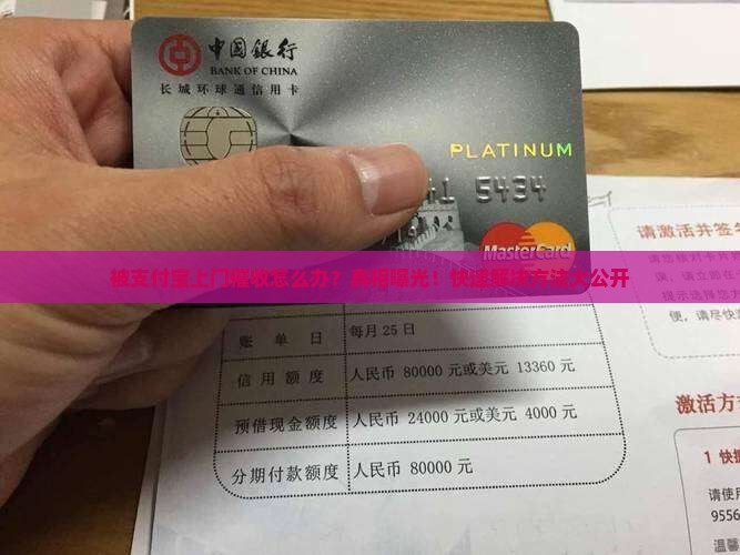 被支付宝上门催收怎么办