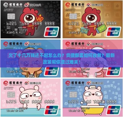欠了十几万钱还不起怎么办