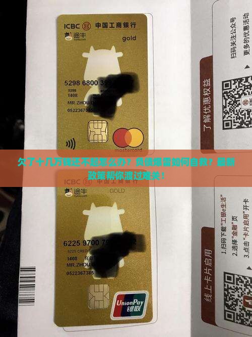 欠了十几万钱还不起怎么办