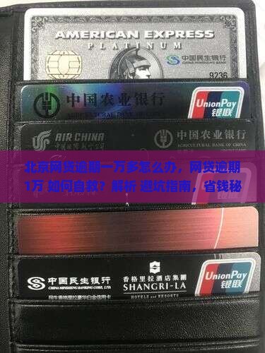 北京网贷逾期一万多怎么办