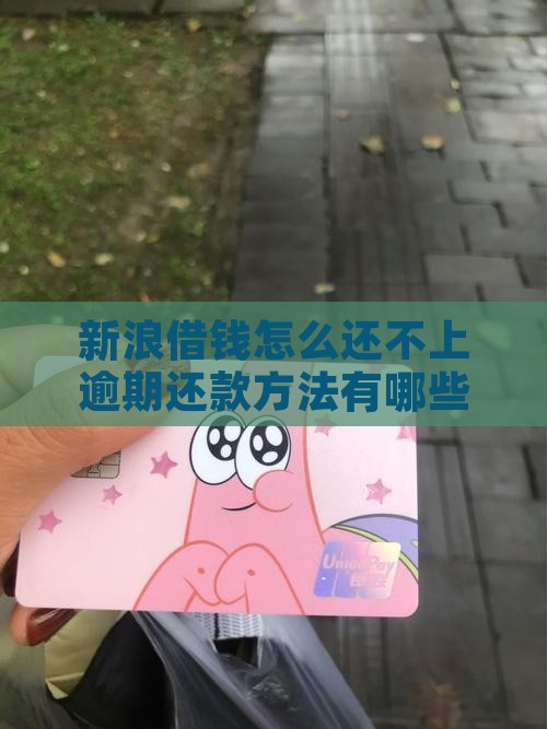 新浪借钱怎么还不了钱的方法有哪些